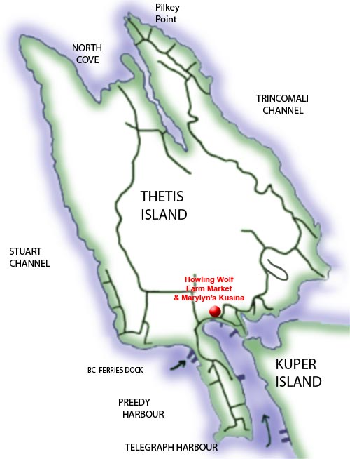 map showing Farm Market in relation to the BC Ferry dock and Telegraph Harbour on Thetis Island