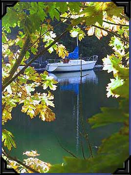 a sailboat moored in Cufra Inlet, Thetis Island, BC